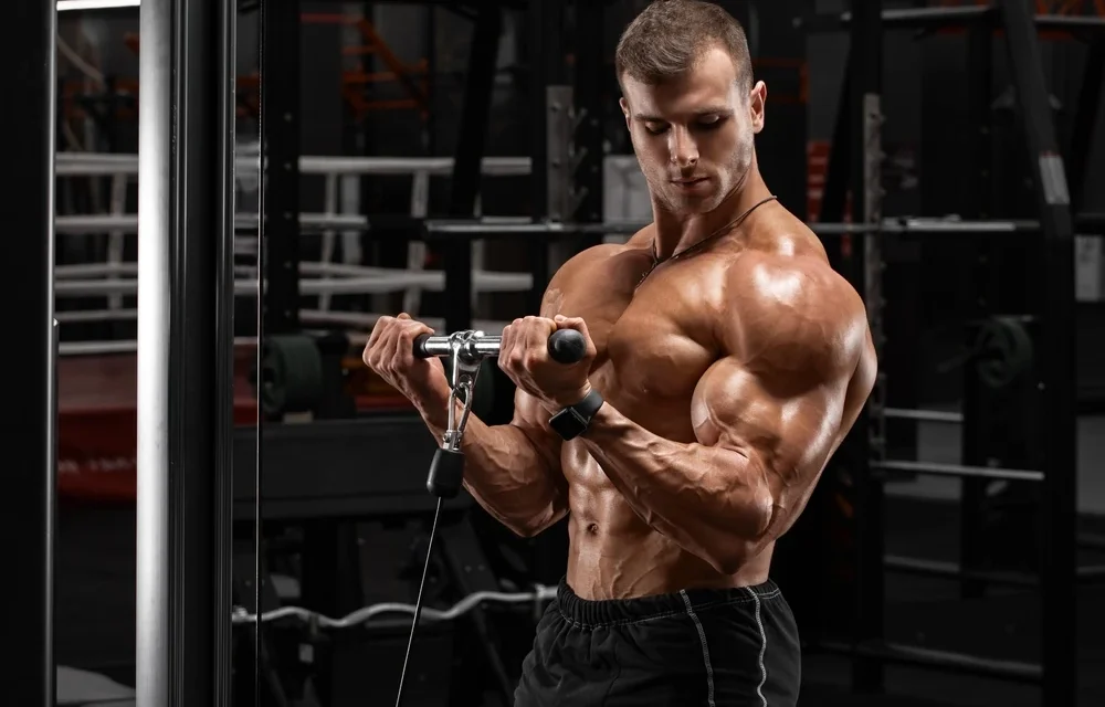 What SARMs Are Best For Athletes