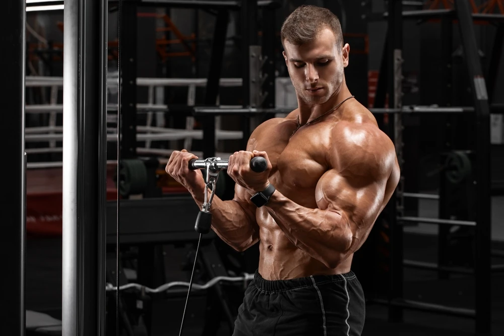 Muscular Man In Gym Doing Exercises For Biceps Working Out