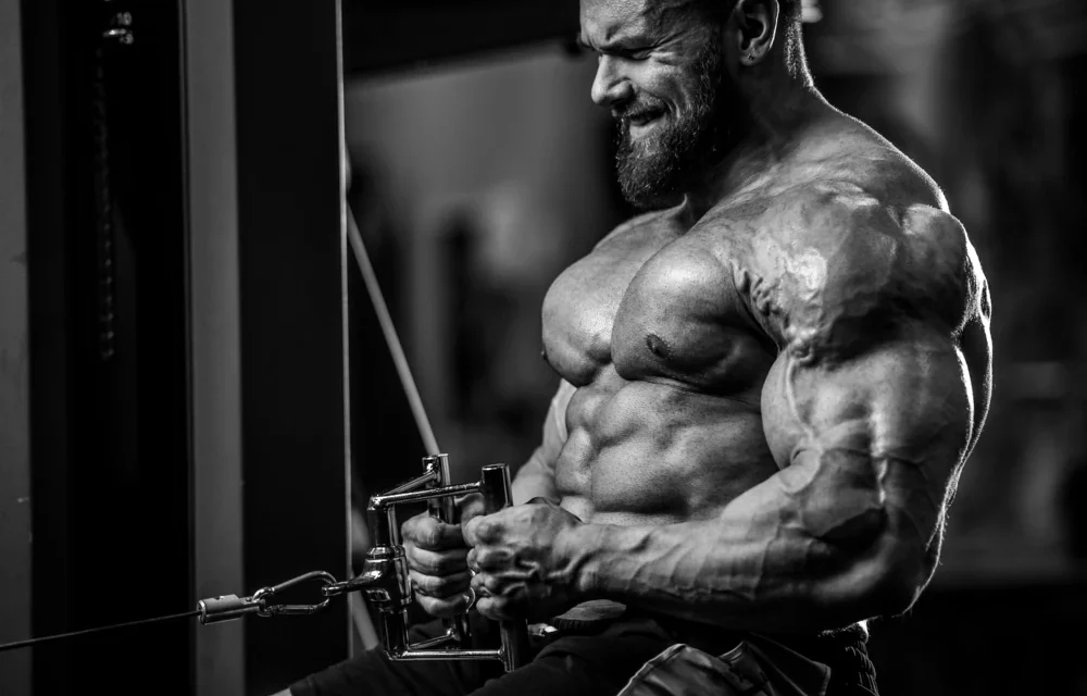 What Are Steroids Used For?