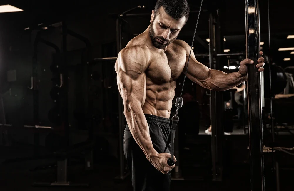 Handsome Man With Big Muscles Posing At The Camera In Lol